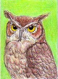 2.5" x 3.5"  pen and colored pencils