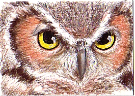 2.5" x 3.5"  pen and colored pencil