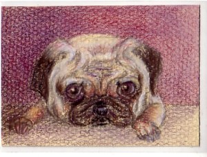 2.5" x 3.5" colored pencil