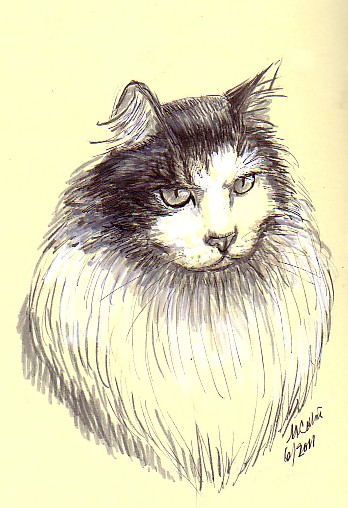 cat drawing-pen and gouache on pater